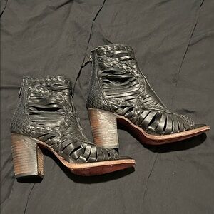 Freebird by Steven Belas